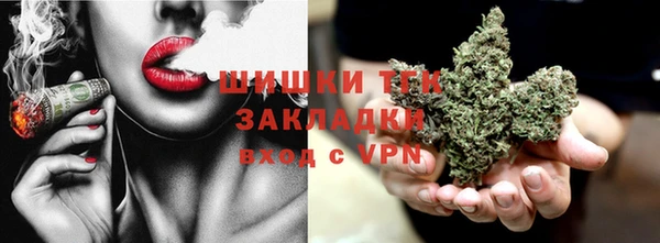 стаф Покачи