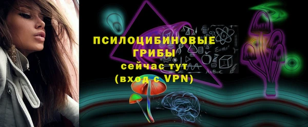 молекула духа Бугульма