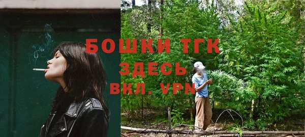 молекула духа Бугульма