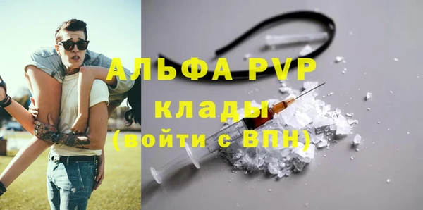 spice Бородино
