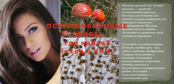 spice Бородино