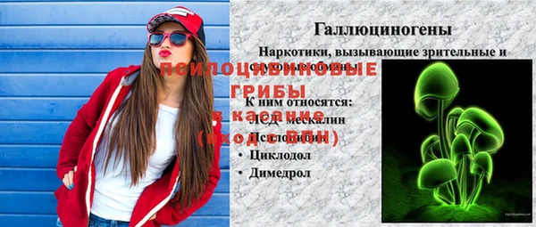 spice Бородино